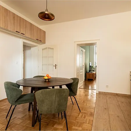 公寓 Spacious Flat With Courtyard 科希策