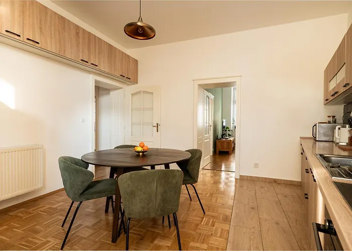 公寓 Spacious Flat With Courtyard 科希策